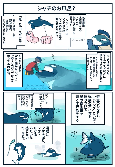 名古屋港水族館さんのブログにて面白い記事を見つけました!
シャチの垢、見る機会ないので飼育員さんならではの視点だなぁ～と思いました

https://t.co/GExyQz8z6n 