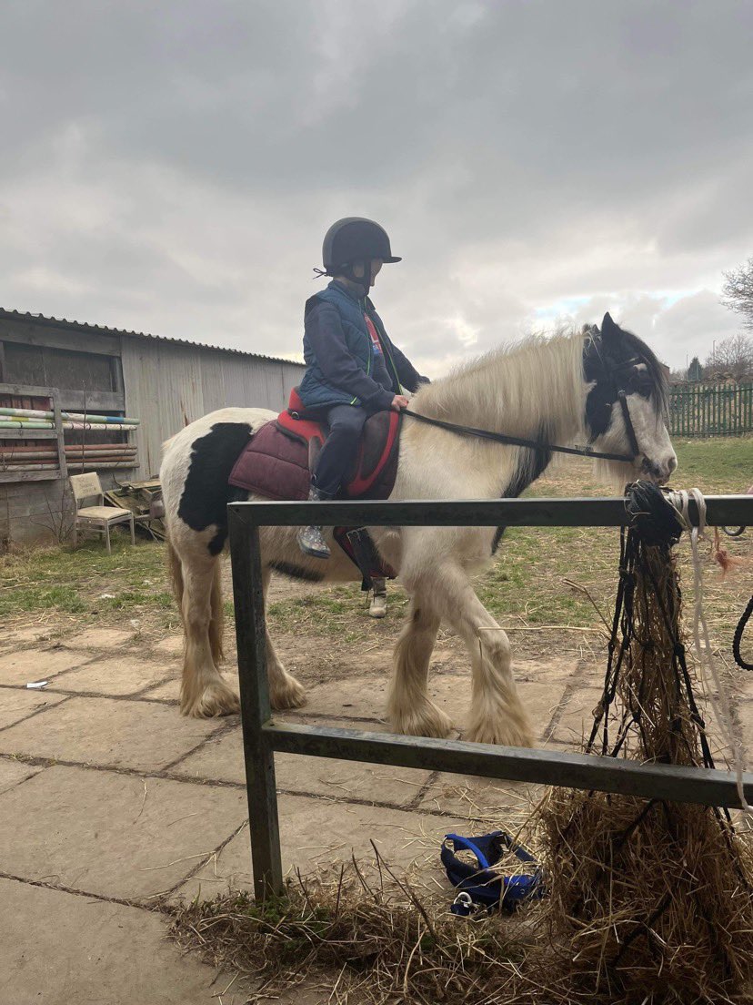 hannahjbrooke's tweet photo. Laytons been busy this holiday he’s got a new best friend. Meet his new friend Pandora 😍@BirkwoodPrimary @ESuttonS https://t.co/C1CFjxxjmr