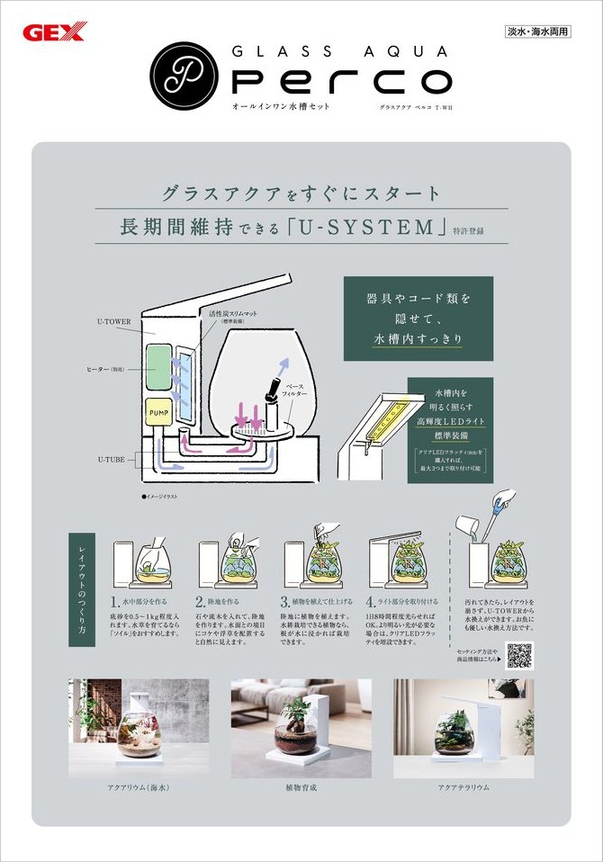 チャーム公式 tweet media