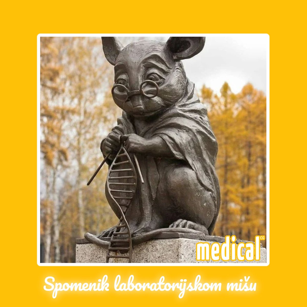 MagazinMedical's tweet photo. Spomenik laboratorijskom mišu nalazi se u Sibiru. Tačnije, ispred zgrade Instituta za citologiju i genetiku Ruske akademije nauka. 

🐁🐭🥼🧪🔬👨‍🏭👩‍🏭

#loveit #mouse #monument #laboratory #russia 
#spomenik #lab #laboratorija #miš 

🌐 https://t.co/flWeXfZnp4 https://t.co/arbSwqKIOE