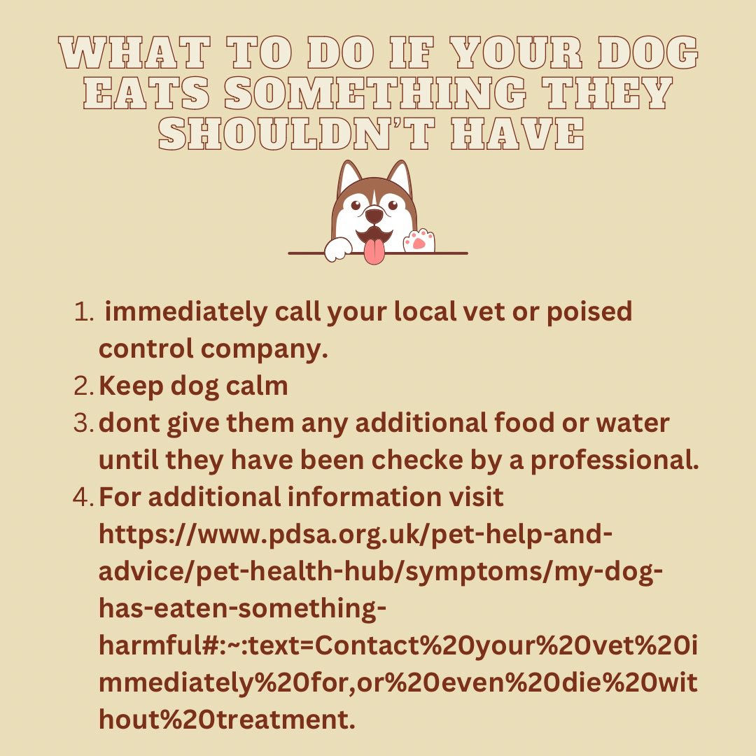 Friendsfurver22's tweet photo. 🐶Preparing for the unexpected Day 2: What to do if your dog eats something hazardous🐶 https://t.co/d79ZCKZIlx