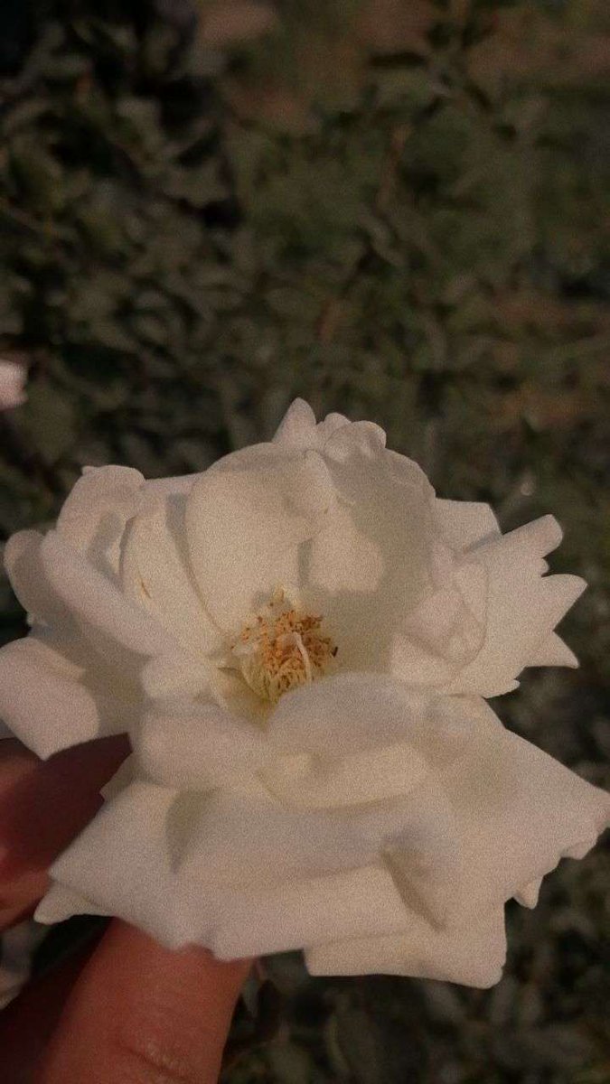 I hope his Mom knows that he is healing a heart that he didn't break and is showing what real love is.
I hope she knows that she has raised a gentleman🖤🖤