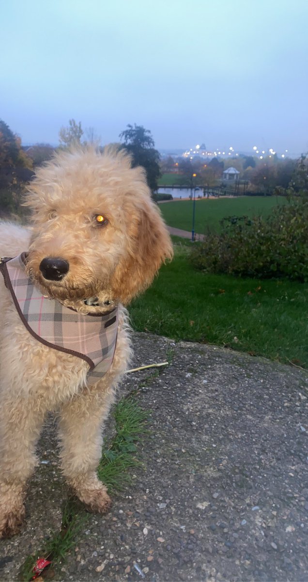 ChloeRedpath4's tweet image. #PLTpetday