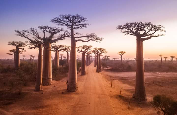ToursVaza's tweet photo. L'artiste Garou est venu pour découvrir morondava et Ankarana https://t.co/OFweZlk6EZ