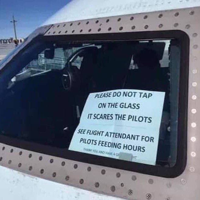 OnAviation's tweet image. Hay que respetar su hábitat natural 😅

#AviationHumor #LunesConHumor