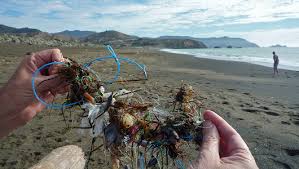 GiveaHand45's tweet photo. Please pick up the trash and throw it in garbage can
Give a Hand! For a Better World!
#nature #trash #garbage #ocean #animals #beach #plogging #plogolution https://t.co/x0wXGAfrC8