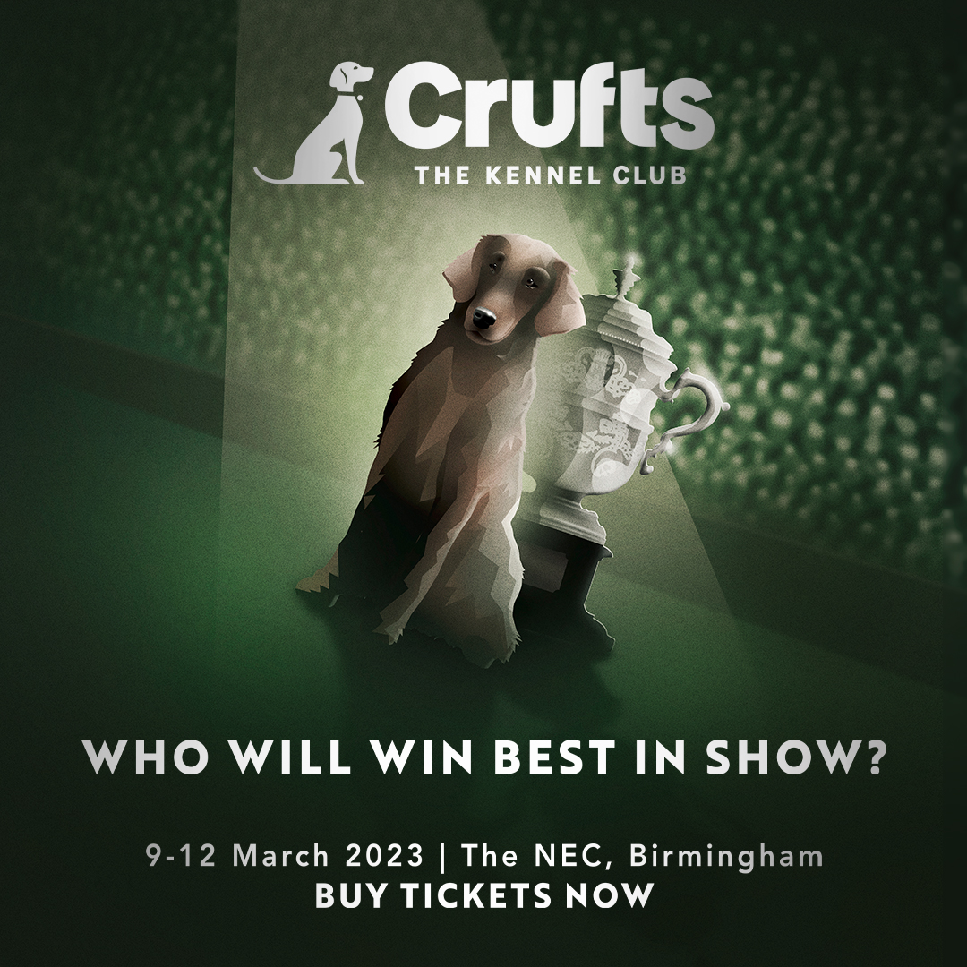Crufts's tweet image. Who will win Best in Show this year? Buy your tickets for Crufts Best in Show at: crufts.org.uk/tickets.