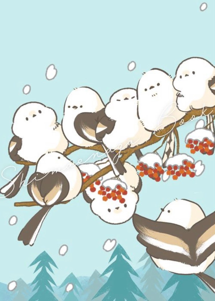 「最高のシマエナガ団子シマエナガBOOKの表紙イラストです販売は本日まで…!!! 」 吾妻まいか|5月ガチャガチャのイラスト(02)
