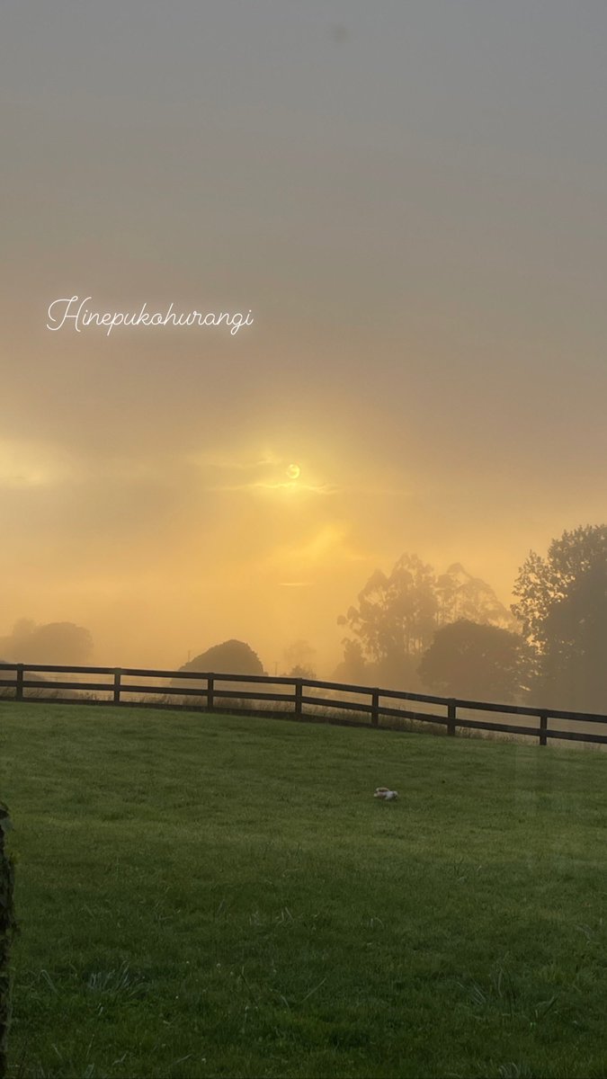 A misty morning. Hinepukohurangi - atua wahine of mist