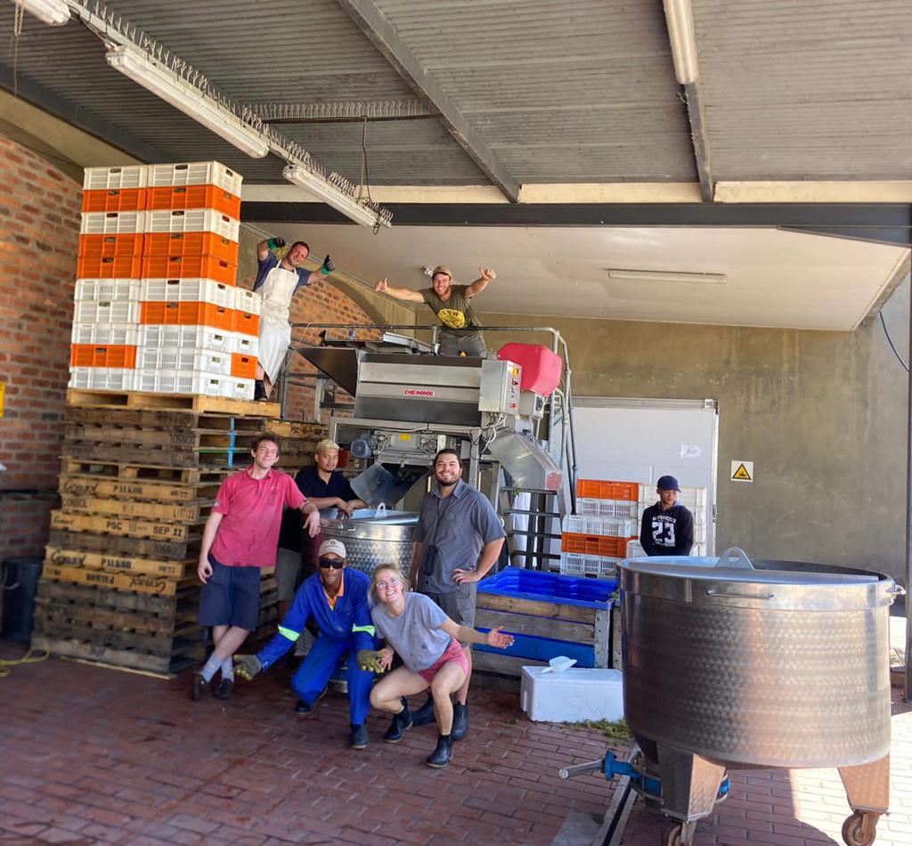 Each year we host interns, both locally and abroad, that spend nearly three months under the guidance of Dewaldt Heyns (Cellar master), Daniela Jansen (Winemaker), Dimitri Vermeulen (Assistant Winemaker) and Roux Conradie (Viticulturist).