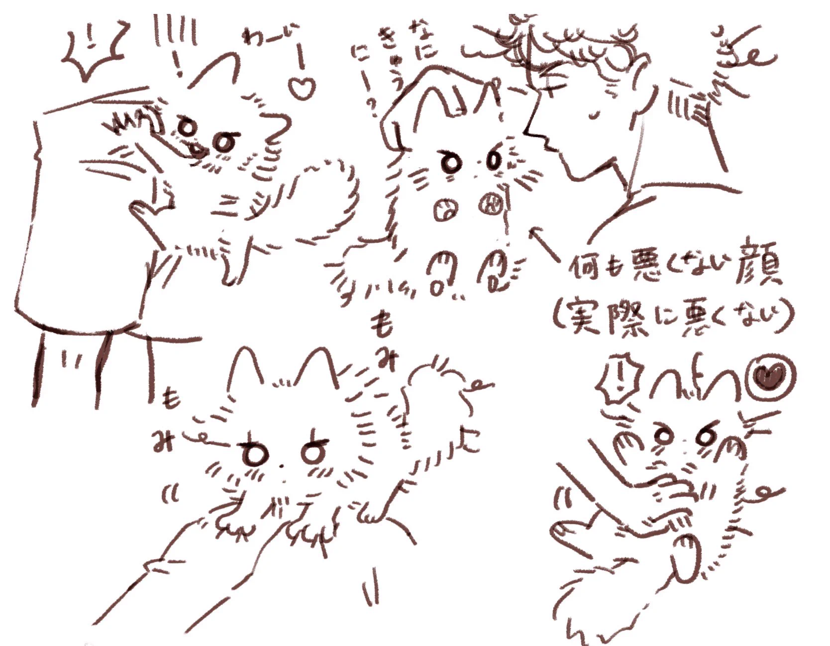 消えたり現れたりadoc🍮ねこちゃんの味方 on X: 
