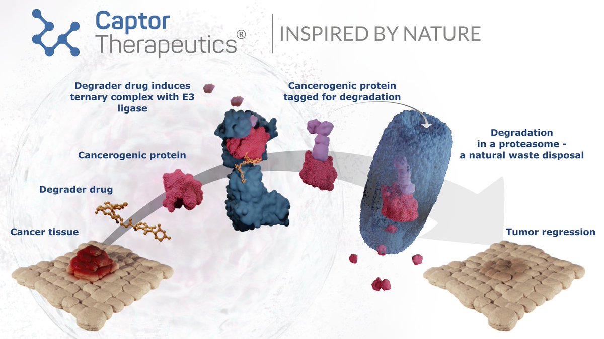 Conventional anti-cancer therapies often fall short. At Captor Therapeutics, we're changing the game with targeted protein degradation therapy. Earmark cancer-causing proteins for elimination. A new hope for cancer patients. #cancerresearch #targetedproteindegradation