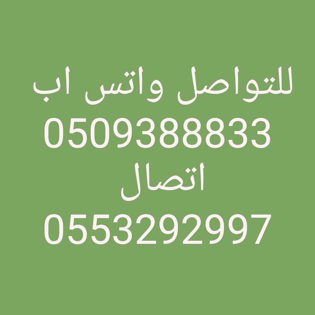 بستان الخالديه tweet media