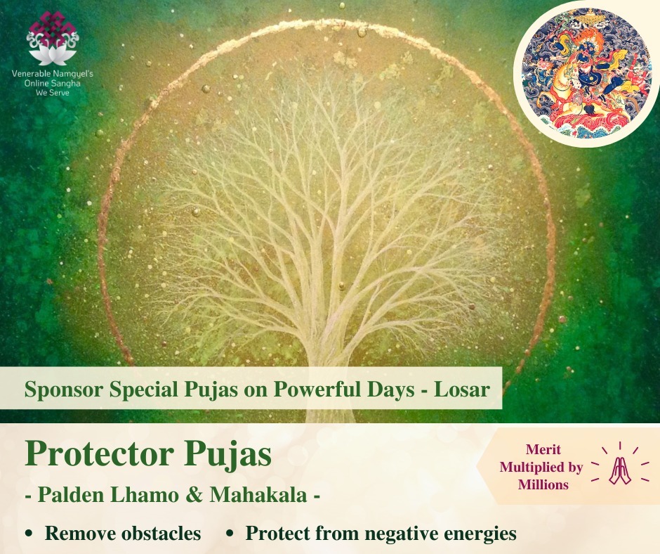 Protector Pujas for removing your negativities!
@ Powerful Day - Losar &amp; Chotrul Duchen - Tibetan New Year
21st February - 7th March 2023

🌟Sponsor Special Pujas and Ritual Practices in Nepal’s monastery and nunnery
🌟Performed by over 400 monks and n… ift.tt/wKSYG6p