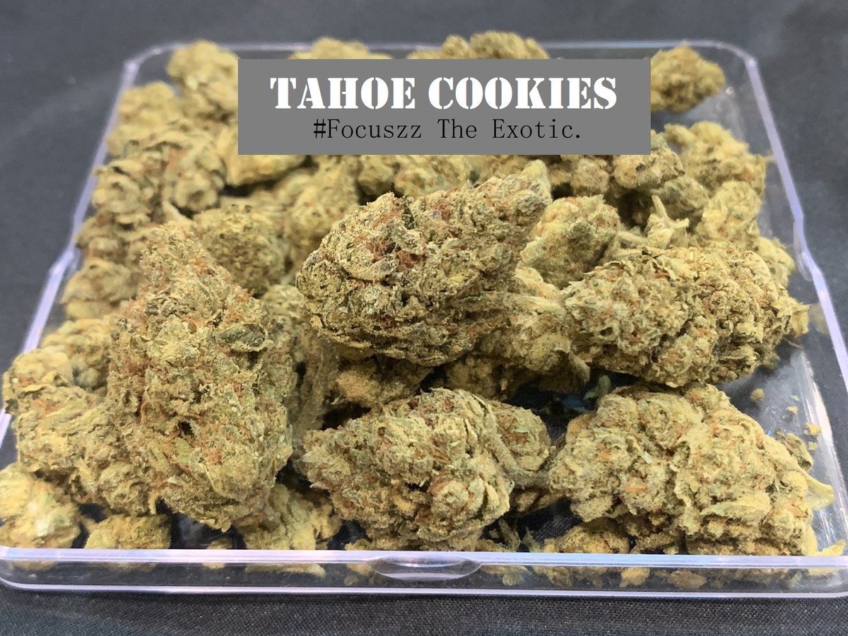 FocuszzTheExotc's tweet photo. Tahoe Cookies (Indica) 5 g สุดท้าย ก่อนหมด !! 
รีบแอดเลย 👉 https://t.co/f3gqb0jkYg

#กัญชาเชียงใหม่ #กัญชากรุงเทพ #กัญชา #กัญชาog #กัญชาขอนแก่น #กัญชาชลบุรี #กัญชาอุบล  #กัญชานครปฐม #กัญชาออแกนิก #กัญชาไทย #กัญชาเสรี #weedthailand #กัญชาสมุทรปราการ #กัญชาภูเก็ต #กัญชาบางแสน https://t.co/fdawsiSGNd