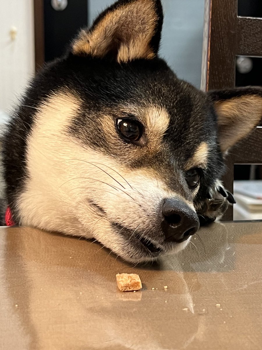 これ食べたいよ〜❣️