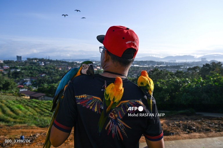 AFP Photo tweet media