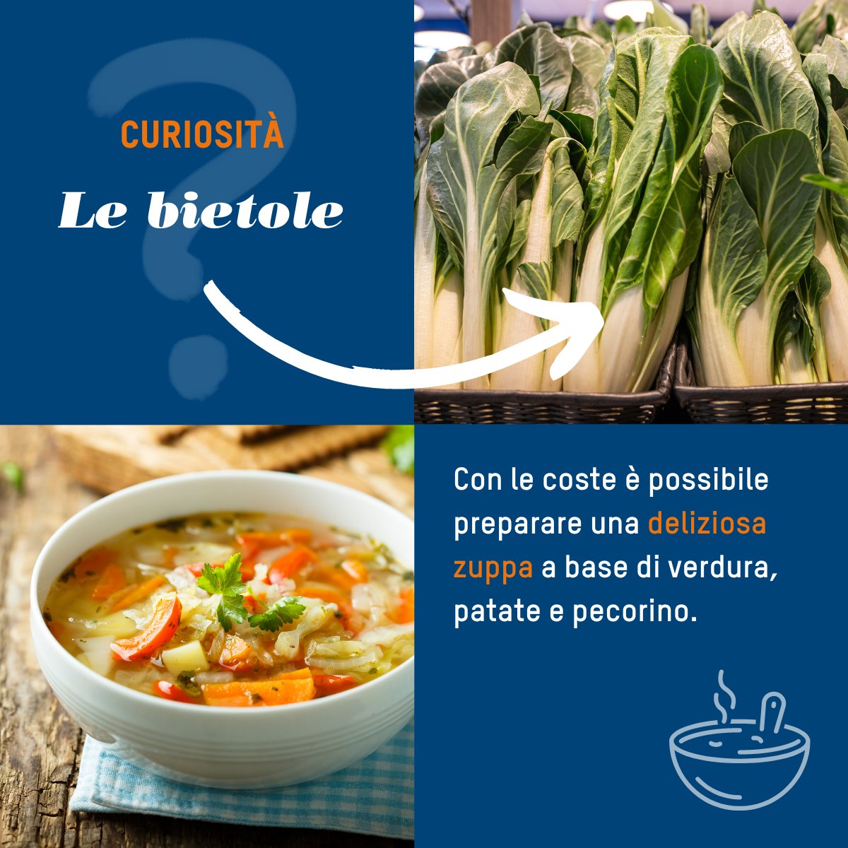 Chi dice bietole, dice benessere! 
Con i mesi che precedono la Pasqua, mangiare sano è ancora più importante per stare bene e concedersi poi una piccola tentazione durante le feste. Per questo oggi vogliamo parlarvi delle bietole, una fonte unica di vitamina C e sali minerali.