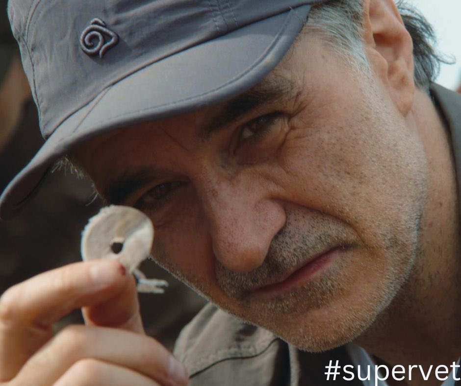 @ProfNoelFitz was invited to @gondwanareserve to assist the team with the insertion of a new anti poacher tracking device for Bruno - a dominant male Rhino living on the reserve. Watch The #supervet Safari special this Thursday at 9pm on @Channel4 & @All4 #blastfilms