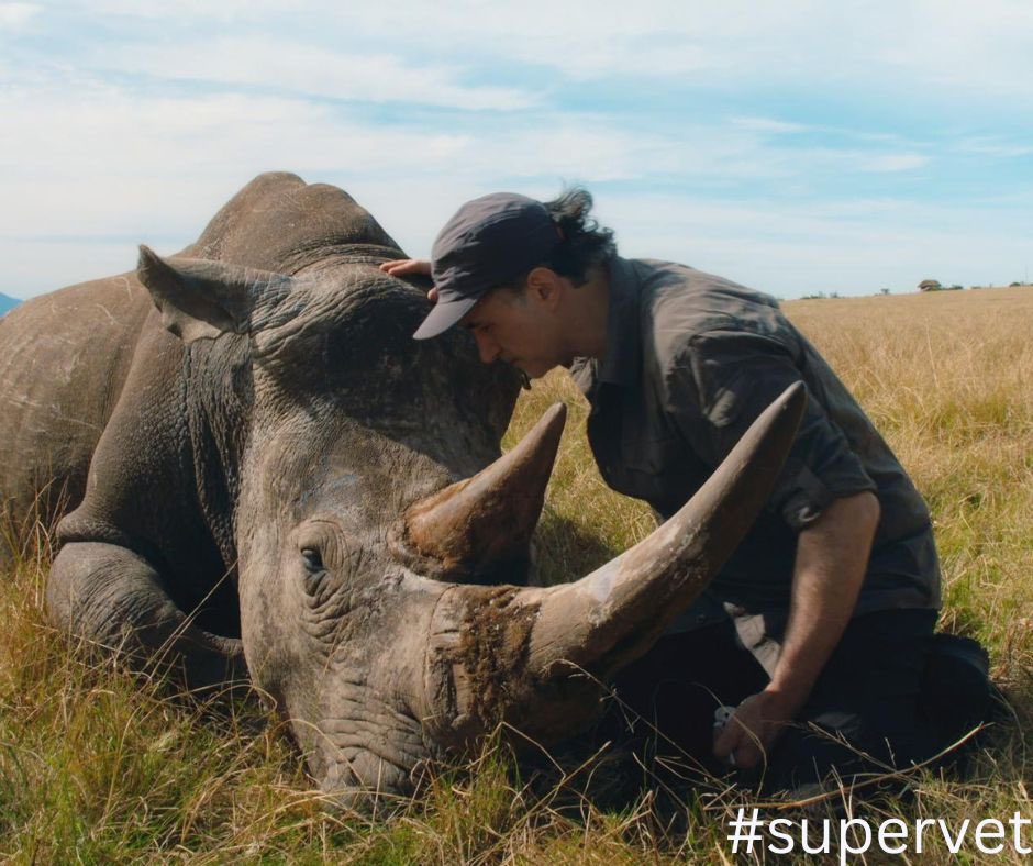 Blast! Films tweet media