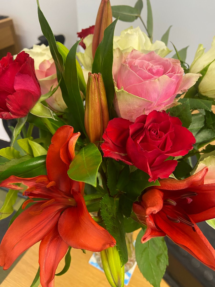 Lovely start to a blustery Monday! From a client, apologising for her husband who wanted to go with a different agent 💪