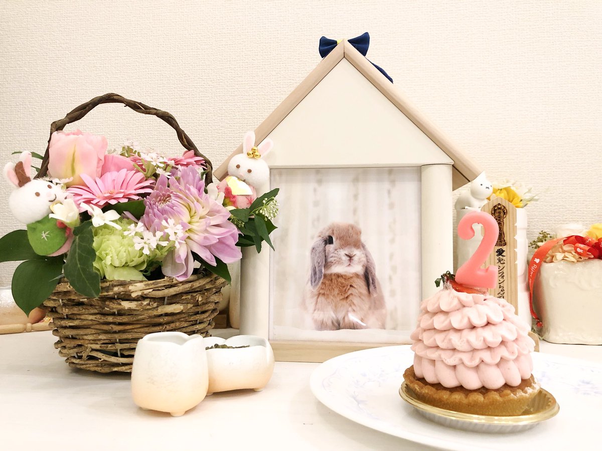 エッグタワーケーキ&タルトひよこうさぎ(耳ピンク) エッグタワーケーキ&タルトひよこうさぎ(耳ピンク)