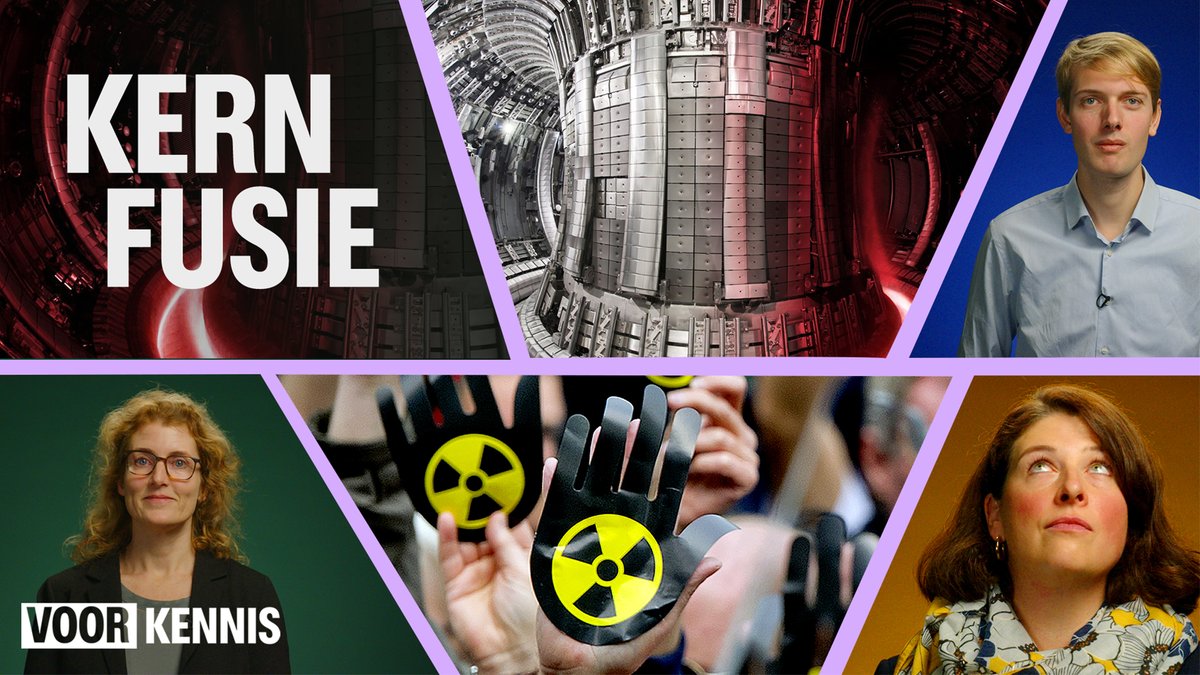 Josefine Proll tweet media