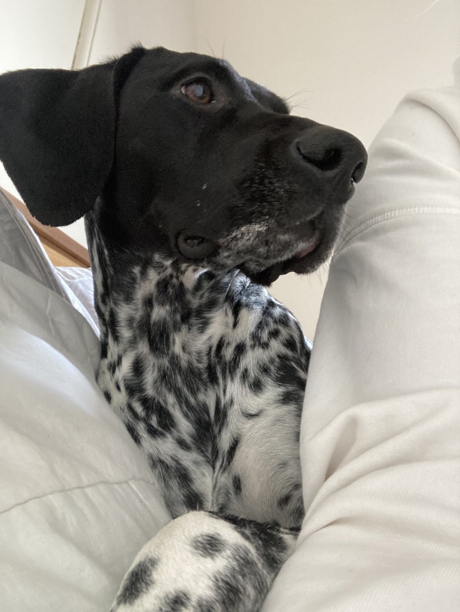 broadwaypublish's tweet image. POV: Monday morning when the alarm goes off!
Are you a Monday person or is it a struggle?

#mondaymotivation #contentfor #estateagents #marketing