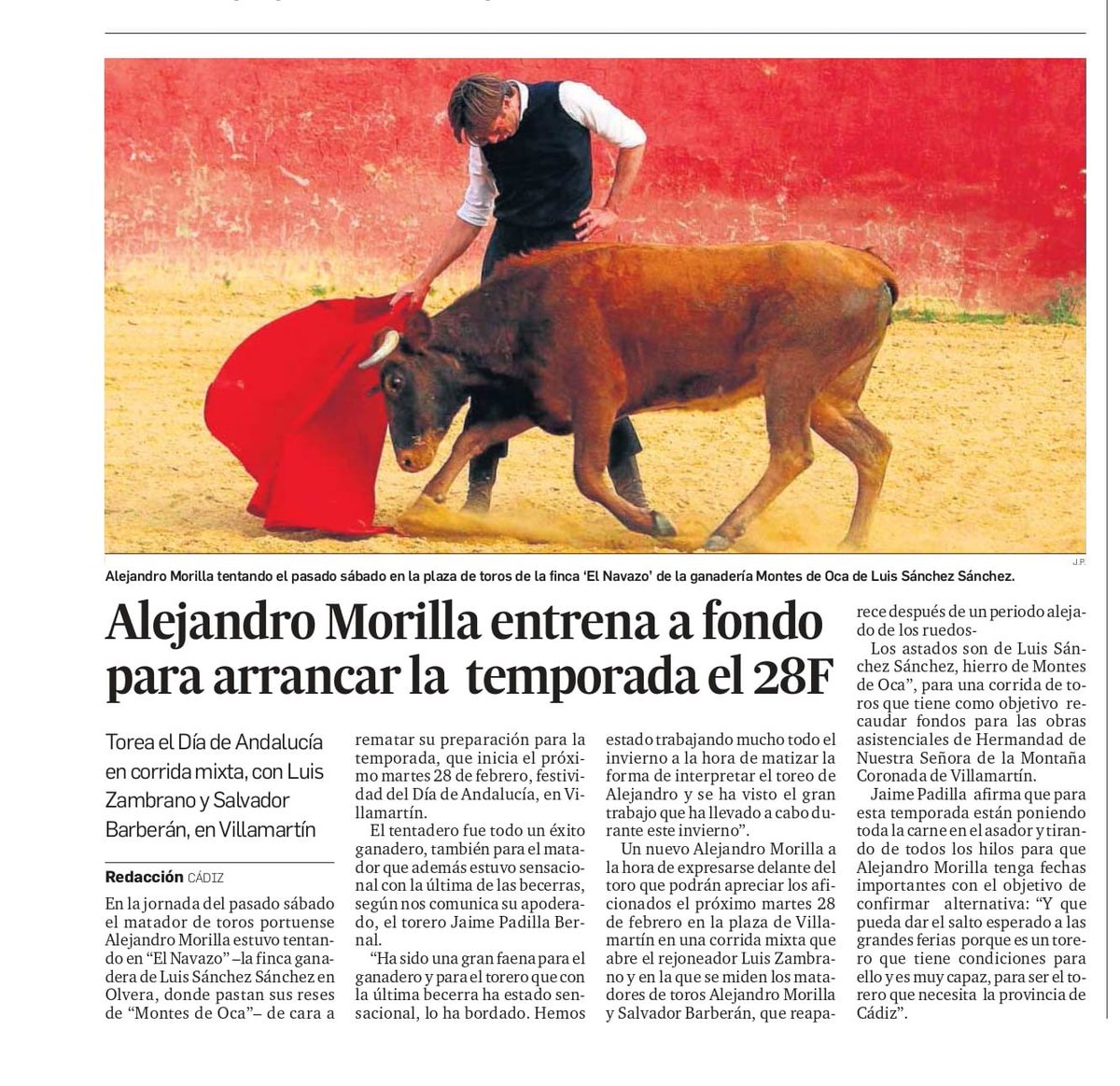 Alejandro Morilla INFO. tweet media