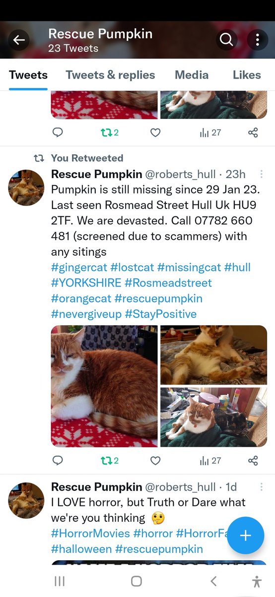 roberts_hull's tweet photo. Pumpkin is STILL missing. I'm literally crying right now as I write this. PLEASE RT. Reward for safe return.
#rescuepumpkin #hull #Yorkshire #missingcathull #lostcathull #lostcat #gingercat #missingcat #catsprotection #janefallon #mondayblues #Monday #Mondaymood #help https://t.co/Qh0x8ZMUM4