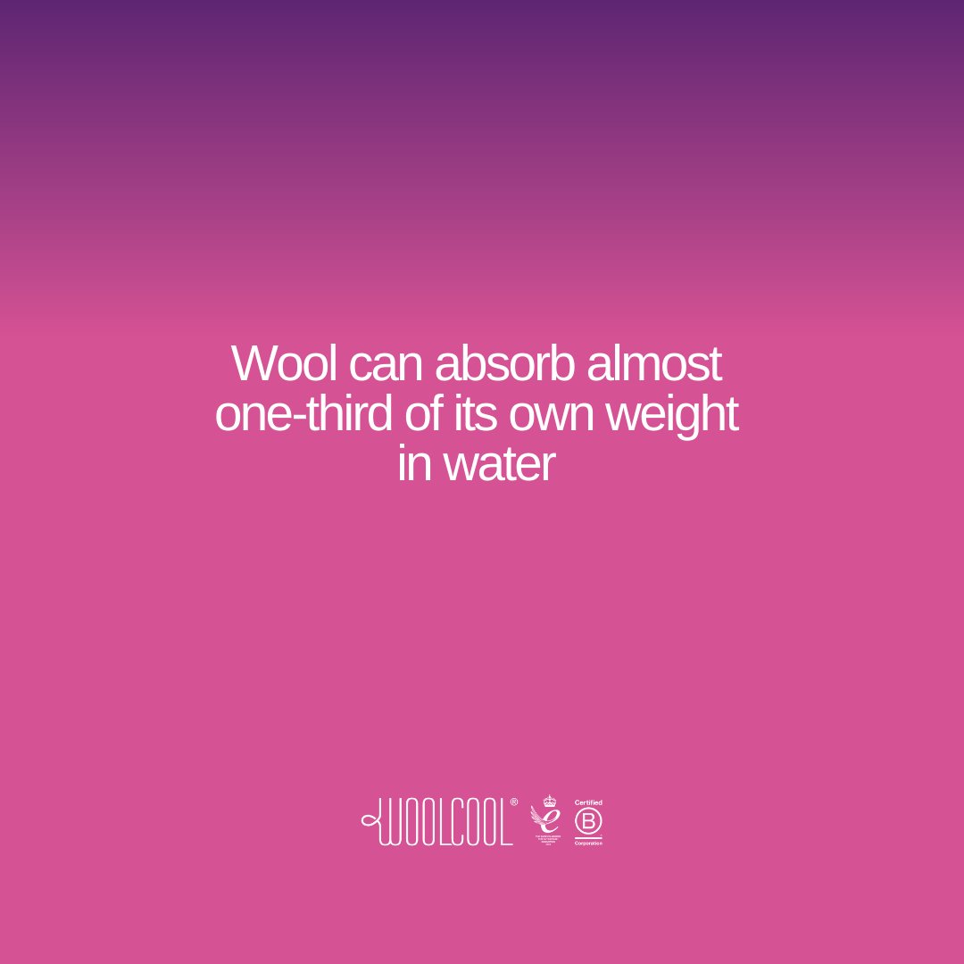 WeAreWoolcool's tweet photo. We hope you love wool as much as we do! ๐
#woolfacts #britishwool #naturalmaterials #sheep https://t.co/gmqvVOuBFQ