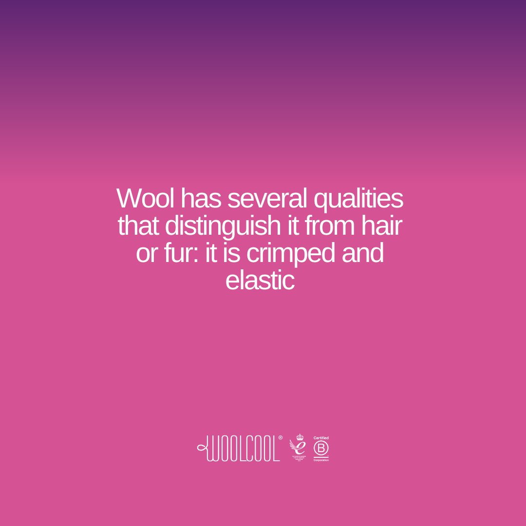 WeAreWoolcool's tweet photo. We hope you love wool as much as we do! ๐
#woolfacts #britishwool #naturalmaterials #sheep https://t.co/gmqvVOuBFQ