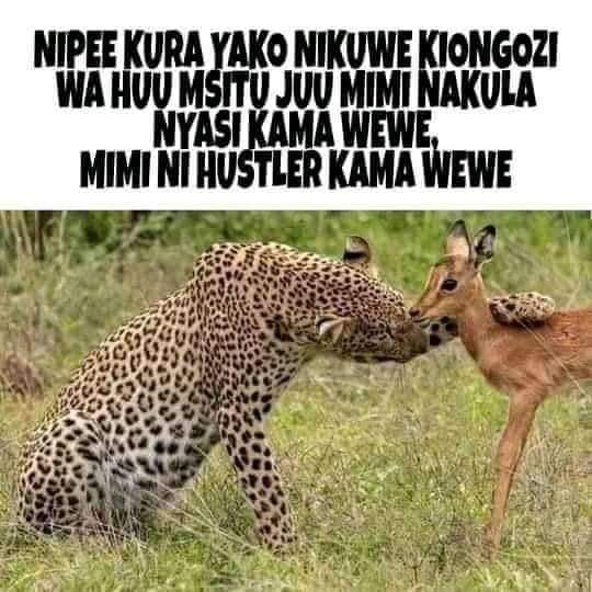 Bonie Stater tweet media