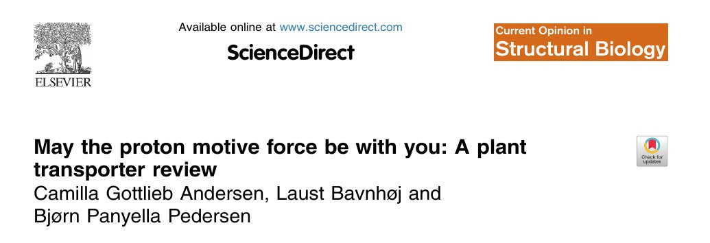Bjørn Panyella Pedersen (@bjornppedersen) on Twitter photo Super proud 🤩 of our latest review by PhD student Camilla and former PHD student and now postdoc <a href="/laustbavnhoej/">Laust Bavnhøj</a>.👇👇🎉
🔦⚡️May the Proton Motive Force be with you⚡️🔦
authors.elsevier.com/sd/article/S09…
#MembraneTransport #plants
🌱☘️🌻
<a href="/MolBiolAU/">Molekylærbiologi - Molecular Biology</a> <a href="/AarhusUni_int/">Aarhus University</a> Super proud 🤩 of our latest review by PhD student Camilla and former PHD student and now postdoc <a href="/laustbavnhoej/">Laust Bavnhøj</a>.👇👇🎉
🔦⚡️May the Proton Motive Force be with you⚡️🔦
authors.elsevier.com/sd/article/S09…
#MembraneTransport #plants
🌱☘️🌻
<a href="/MolBiolAU/">Molekylærbiologi - Molecular Biology</a> <a href="/AarhusUni_int/">Aarhus University</a>