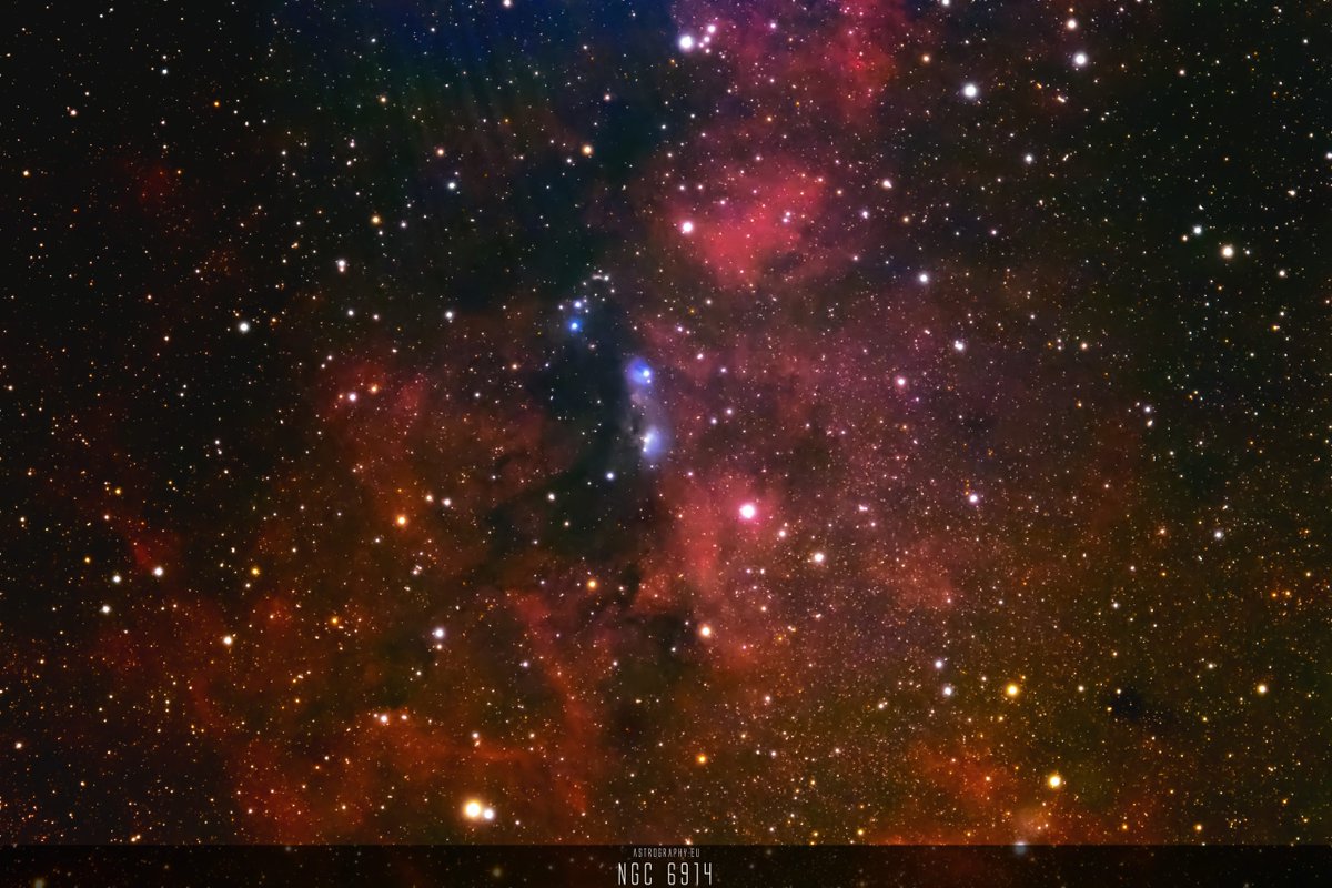 AstrophotoCamp's tweet photo. NGC 6914 - NGC 6914 is a reflection nebula located in the constellation Cygnus that appears as a blue glow caused by the scattering of light from... - #NGC6914 #Astrophotography - Check my blog for further details: https://t.co/Lo1Z60cS5k https://t.co/r3gp2gJ9hH