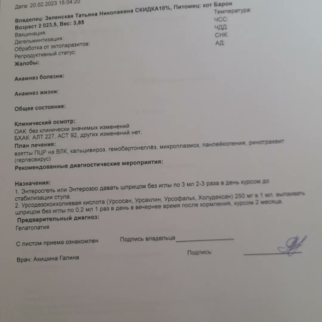 Кошачье Царство 🐈‍⬛🐈‍⬛🐈‍⬛🐈‍⬛🐈‍⬛ on Twitter: "Были в клинике. Не зря я ...