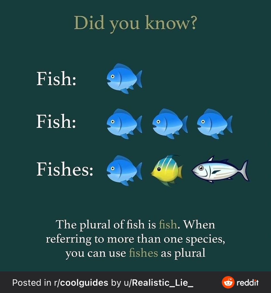 filippidis's tweet photo. When to say… “fish”
#coolguide https://t.co/t5Tyz6Z7W3