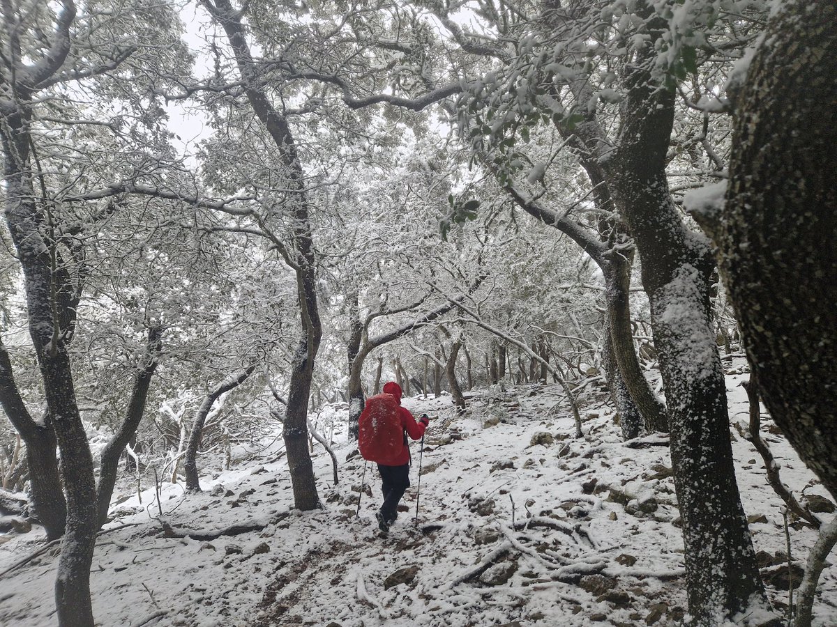 Jon Chamberlain tweet media