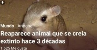 shin me mandó esto.