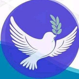 sheekammed's tweet photo. https://t.co/4rDxPew5r1