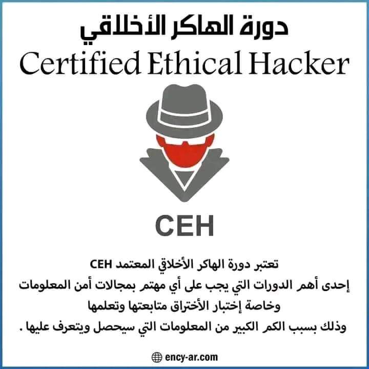 p_4all's tweet photo. كورس  كامل في الاختراق الاخلاقي
الكورس باللغة العربية ✅
حجم الكورس : 1.6G
جاهز تحميل مباشر على جوجل درايف هيساعدك  تتعلم  : https://t.co/cJzJKefvm1