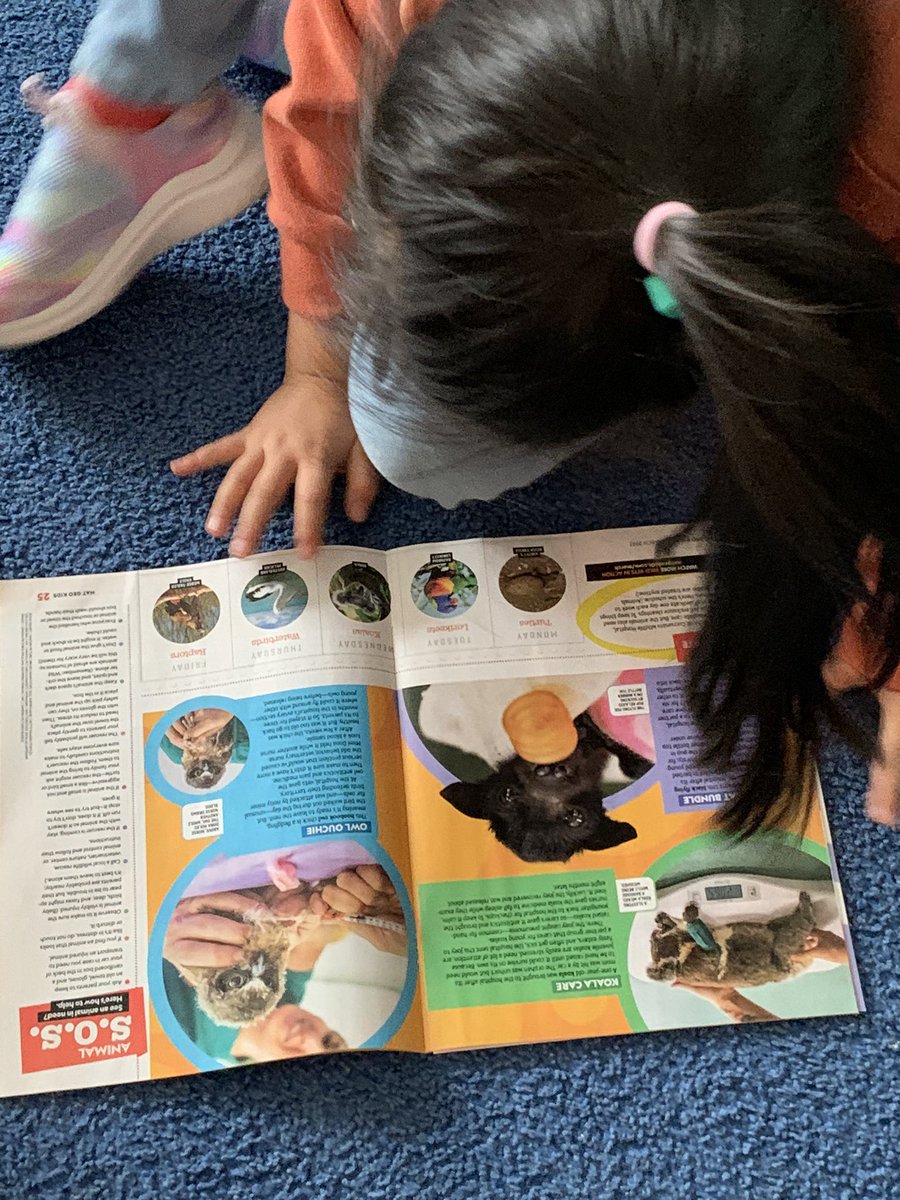 wonderandgrow's tweet image. We are beginning to identify and seek out the different kinds of texts that we like to read and ‘wonder’ with. We are #growingreaders💕❤️😉