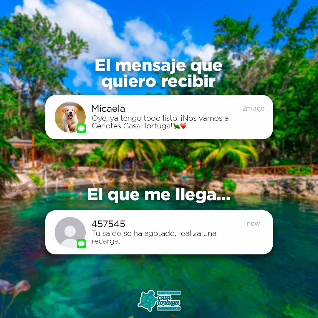 CasaTortuga_'s tweet photo. Si fuiste a #Tulum y no conociste #Cenotes #CasaTortuga tienes que regresar a nadar en su agua cristalina y refrescante. Abrimos todos los días de 9:00 a 5:00 🐢💚
#RivieraMaya #Mexico #EstaDeModa #ViajemosTodosPorMexico #OrgulloMexicano #YoAmoCenotesCasaTortugaTulum https://t.co/t5sZC6Qo9y