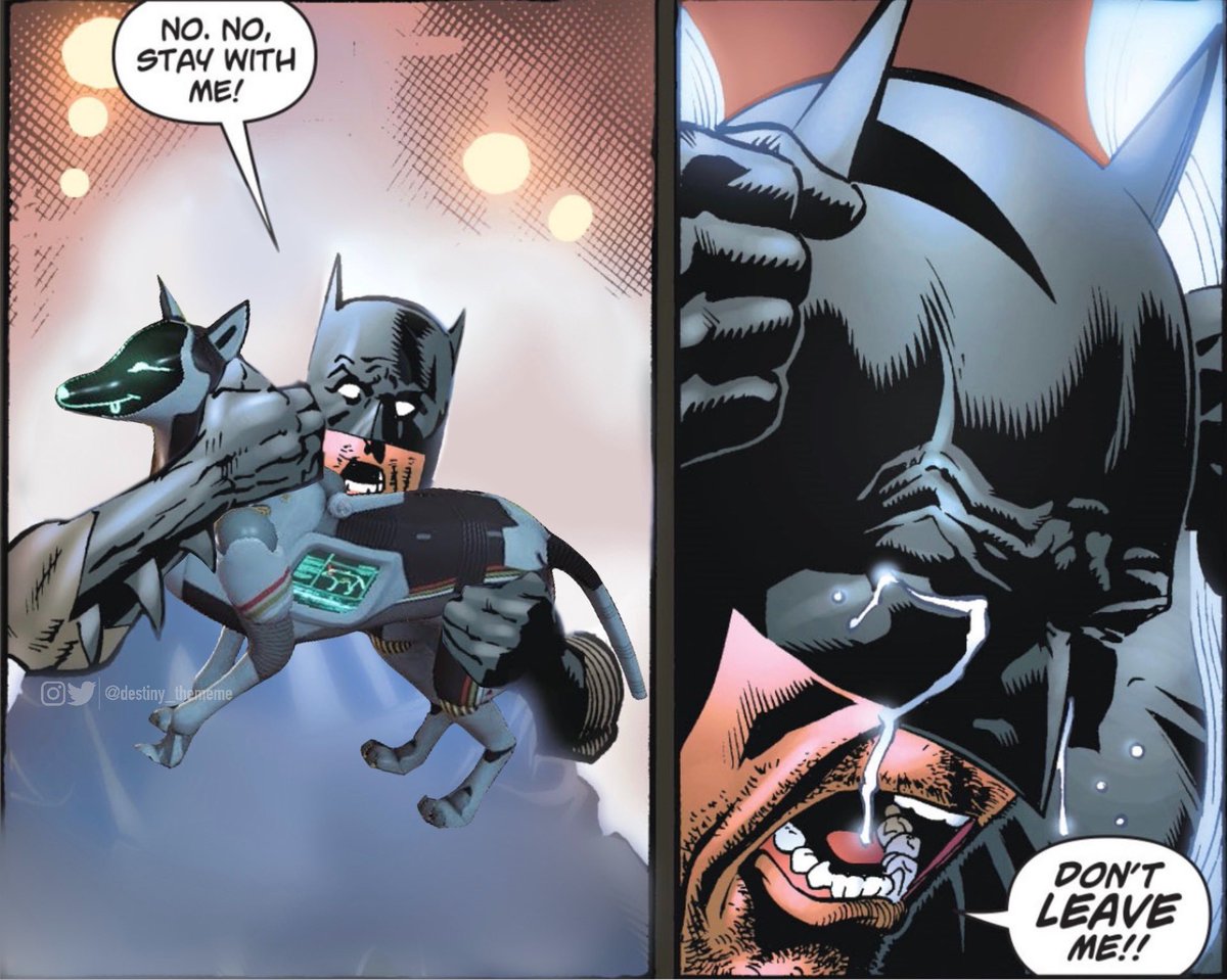 destiny_thememe's tweet image. Destiny players at the end of Season 19