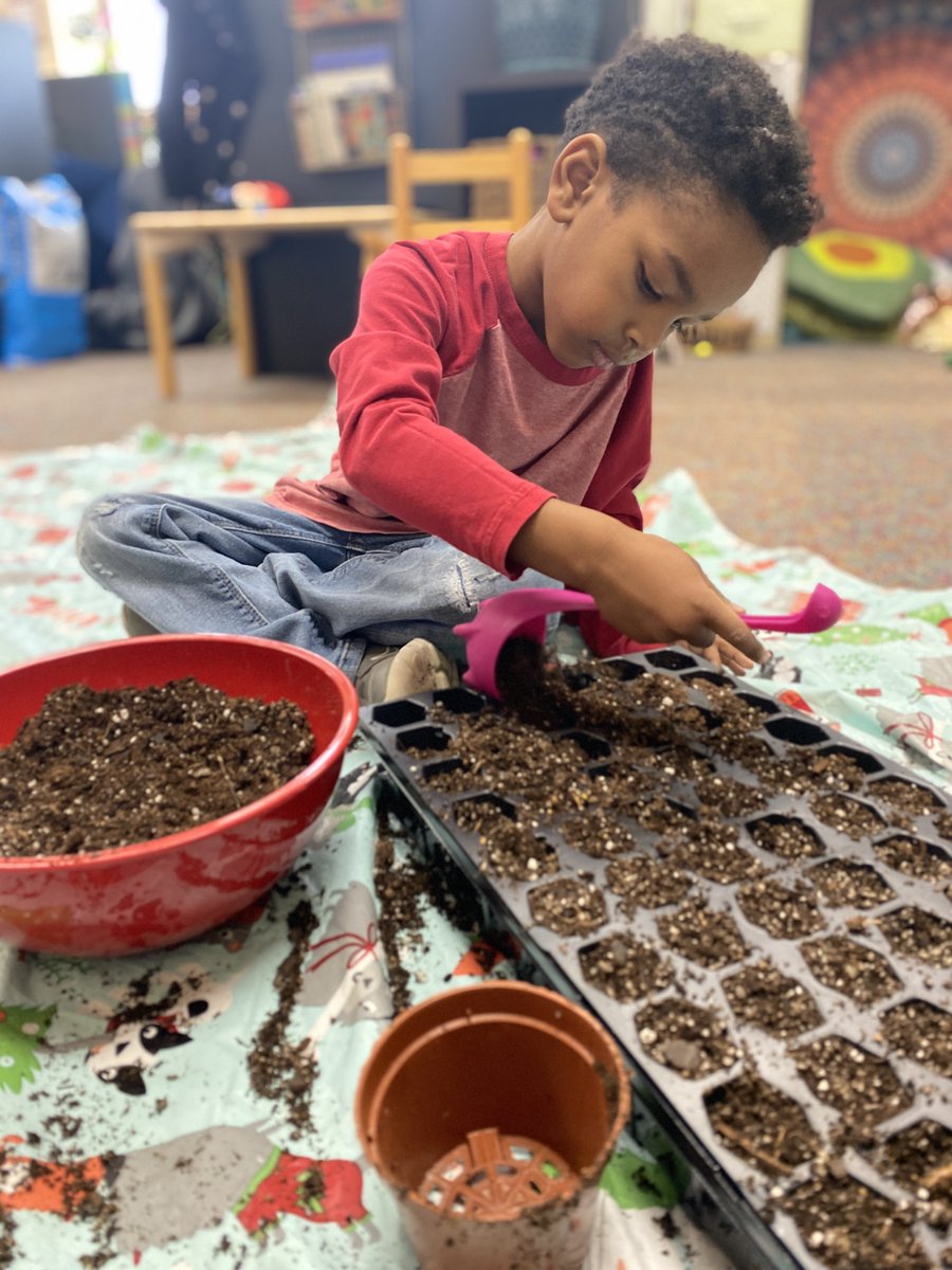 OurGraceStars's tweet photo. From now until May, we will be sowing and tending to a variety of produce and flowers we will have for sale in May right here at Grace. ALL proceeds will go toward purchasing inclusive equipment for our playground. https://t.co/RekqezBeLs