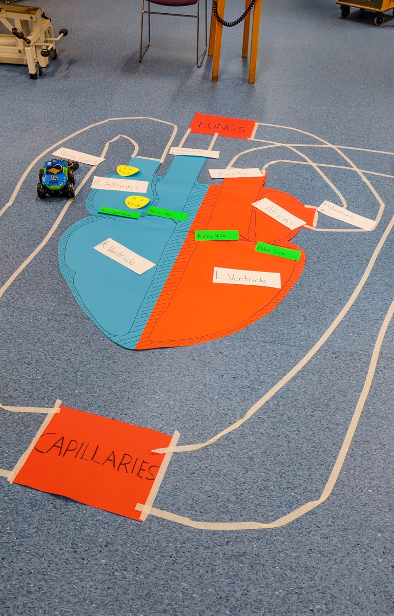 Nic__Allen's tweet photo. We used a giant heart as part of our race track when learning about the circulatory system today. Some excellent remote controlled car skills from the first year Physiotherapy BSc students @BrightPhysios https://t.co/vwTRGYRpUf