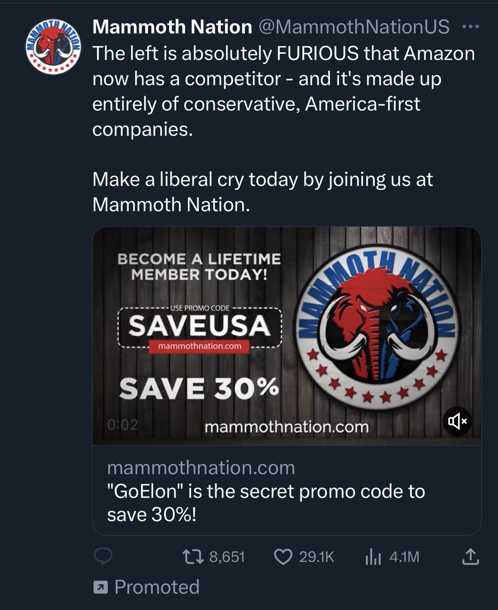 jbanik's tweet photo. Quality ad showed up on my Twitter feed. I certainly do not follow any conservative pundit on Twitter. So I assume Twitter just wants me to cry. https://t.co/F0mb9PL84t