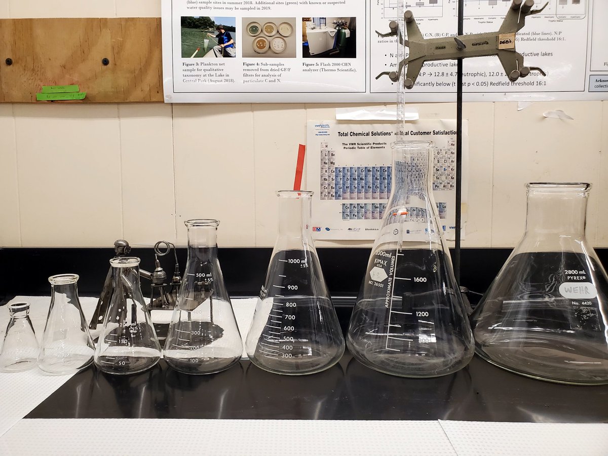 NYCmicrobes's tweet photo. Been going off the rails a little bit lately, so please have a look at small to large versions of laboratory glassware. 👇 #graduatedcylinder #volumetricflask #Erlenmeyerflask #beaker https://t.co/xQL6FeCqPJ
