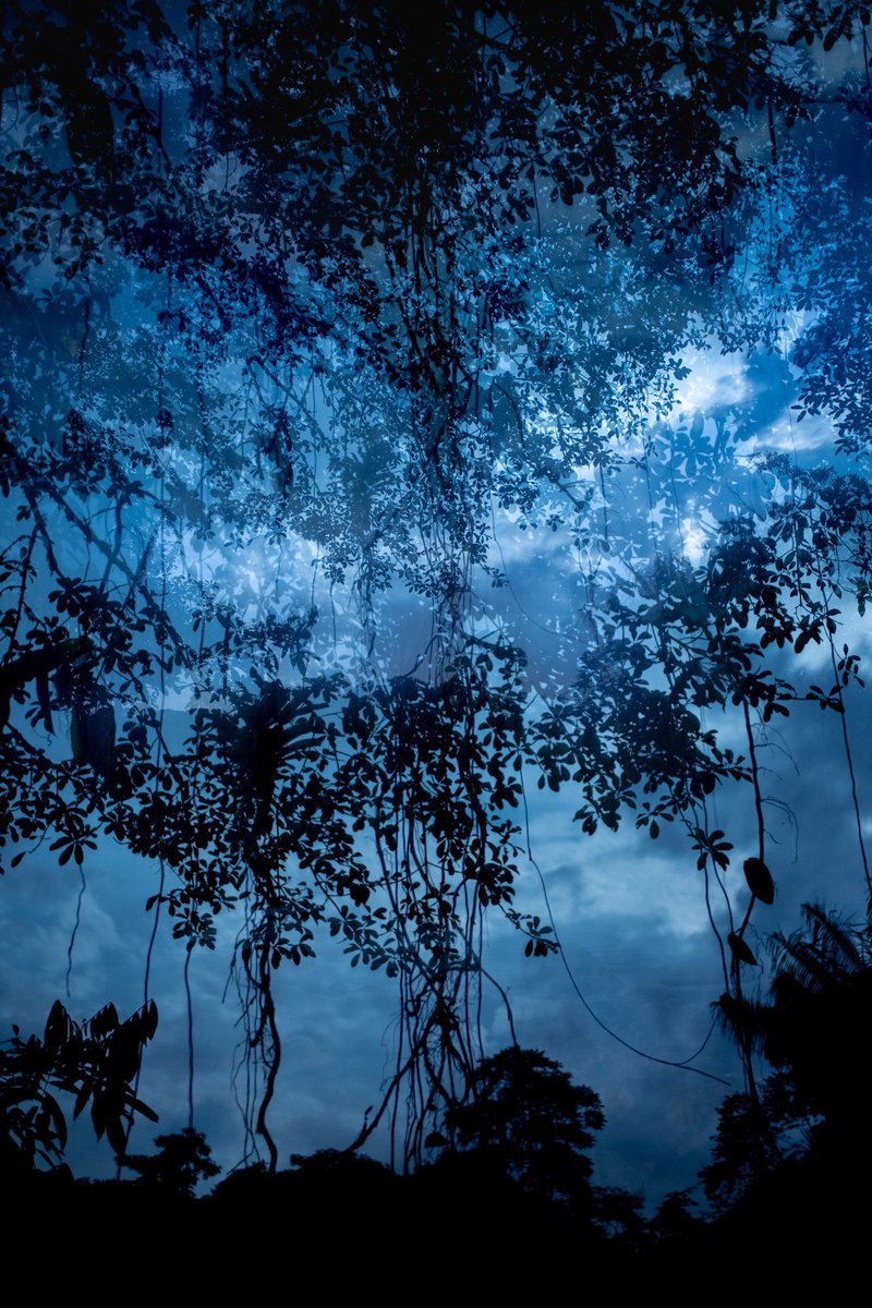 NolanSepter's tweet photo. @Lightroom https://t.co/p2EhnuarAR