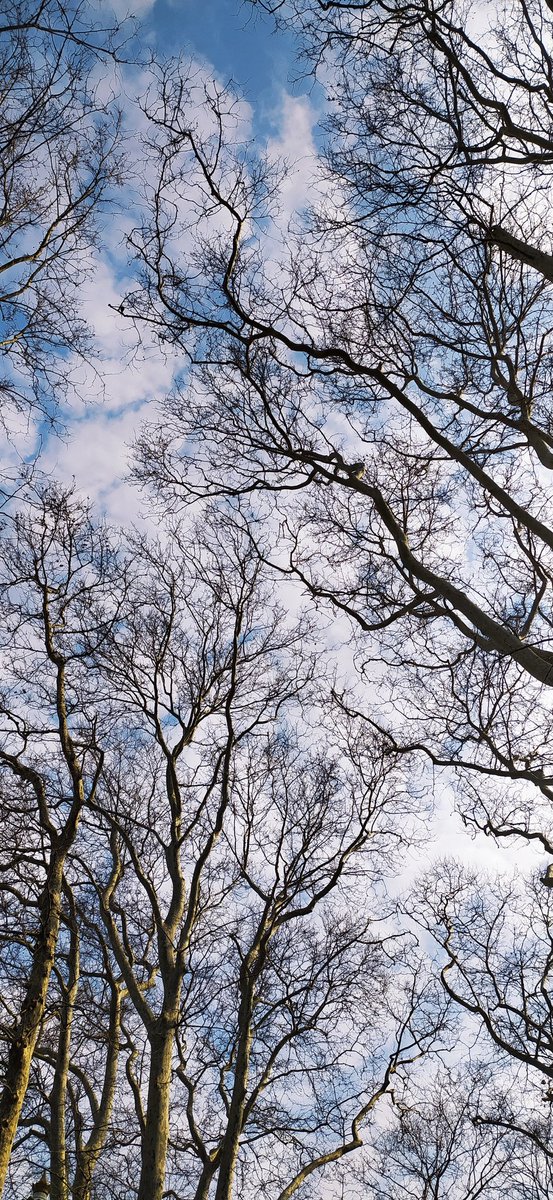 İnsan seçimlerinin esiridir.